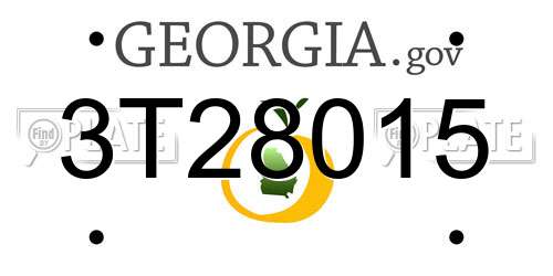 3T28015 Georgia License Plate