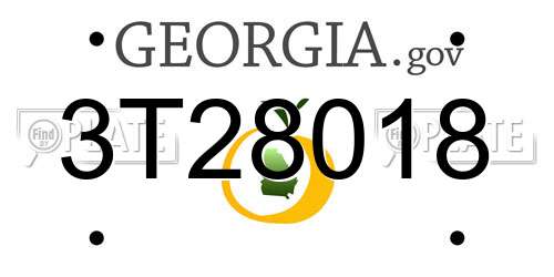 3T28018 Georgia License Plate