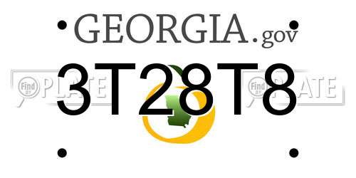 3T28T8 Georgia License Plate