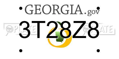 3T28Z8 Georgia License Plate