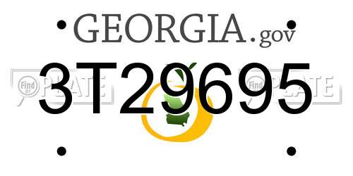 3T29695 Georgia License Plate
