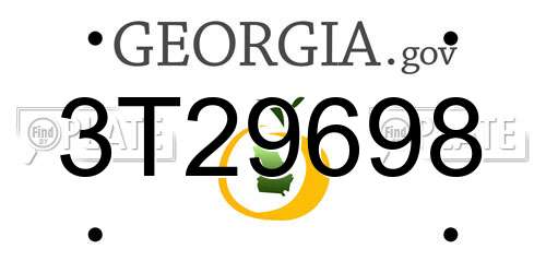 3T29698 Georgia License Plate
