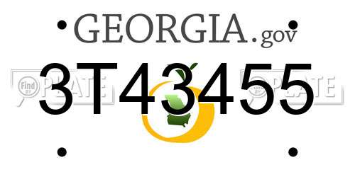 3T43455 Georgia License Plate