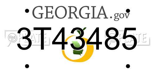 3T43485 Georgia License Plate