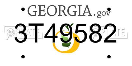 3T49582 Georgia License Plate