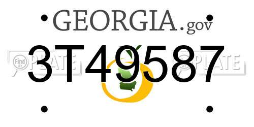 3T49587 Georgia License Plate
