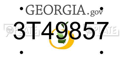 3T49857 Georgia License Plate