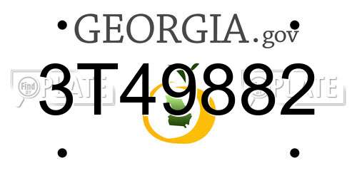 3T49882 Georgia License Plate