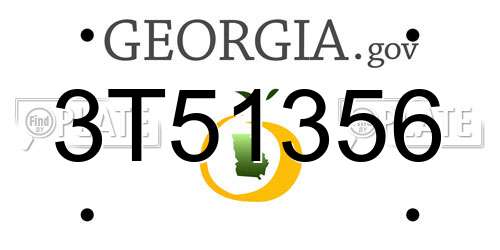 3T51356 Georgia License Plate