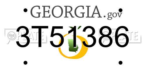 3T51386 Georgia License Plate