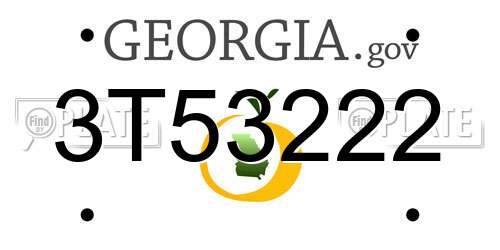 3T53222 Georgia License Plate
