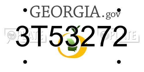 3T53272 Georgia License Plate