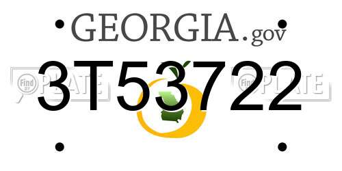 3T53722 Georgia License Plate