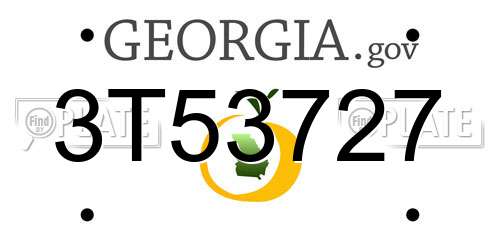3T53727 Georgia License Plate
