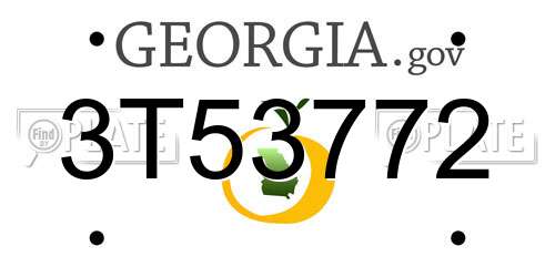 3T53772 Georgia License Plate
