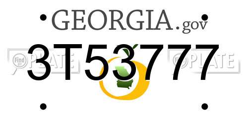 3T53777 Georgia License Plate