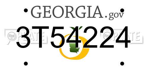 3T54224 Georgia License Plate