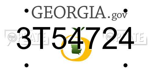 3T54724 Georgia License Plate