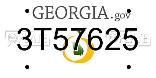 3T57625 Georgia License Plate