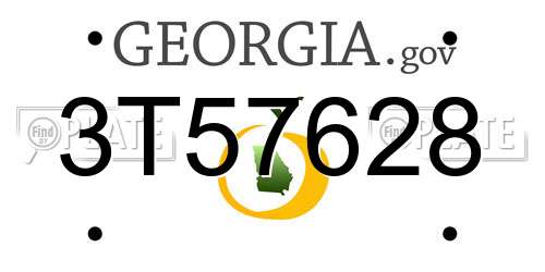 3T57628 Georgia License Plate