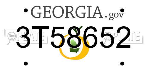 3T58652 Georgia License Plate