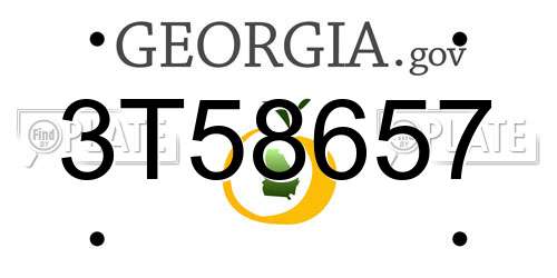 3T58657 Georgia License Plate