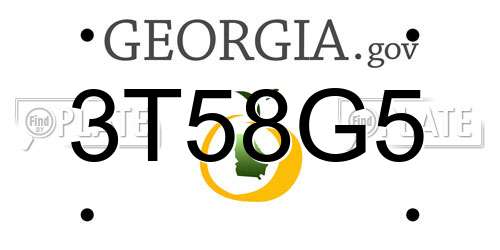 3T58G5 Georgia License Plate