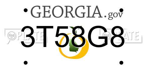 3T58G8 Georgia License Plate