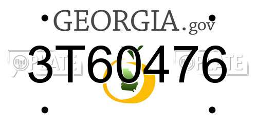 3T60476 Georgia License Plate