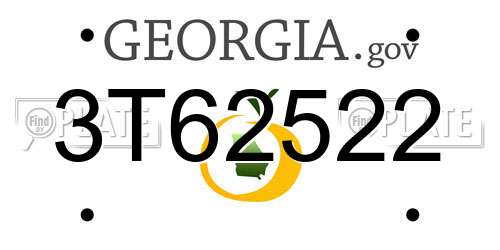3T62522 Georgia License Plate