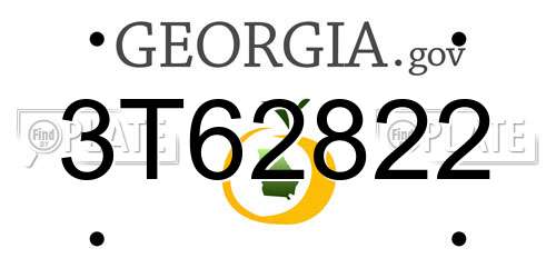 3T62822 Georgia License Plate