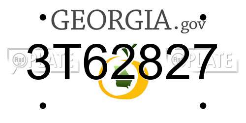 3T62827 Georgia License Plate