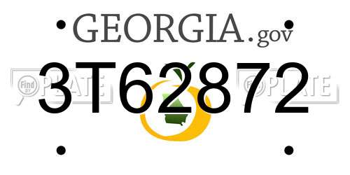 3T62872 Georgia License Plate