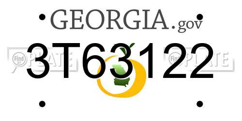 3T63122 Georgia License Plate