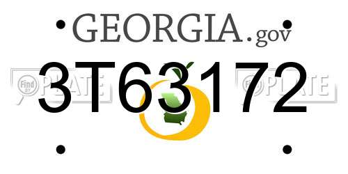 3T63172 Georgia License Plate