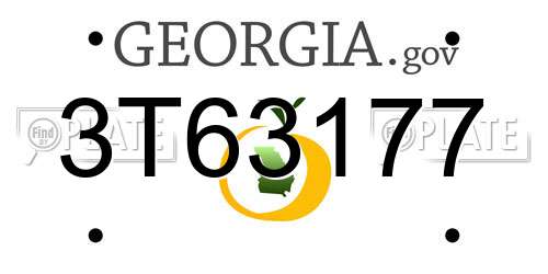 3T63177 Georgia License Plate