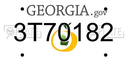 3T70182 Georgia License Plate