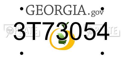 3T73054 Georgia License Plate