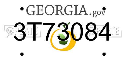 3T73084 Georgia License Plate