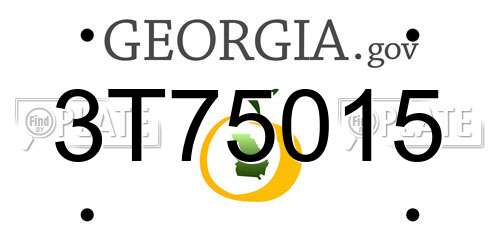 3T75015 Georgia License Plate