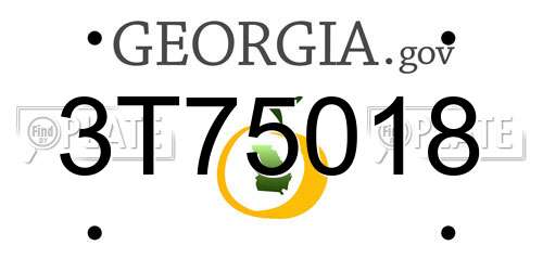 3T75018 Georgia License Plate