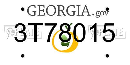 3T78015 Georgia License Plate