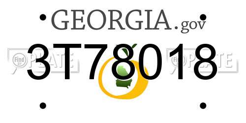 3T78018 Georgia License Plate