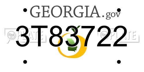 3T83722 Georgia License Plate