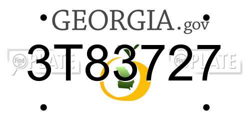 3T83727 Georgia License Plate