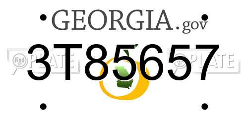 3T85657 Georgia License Plate