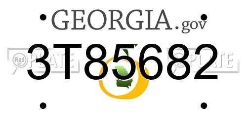 3T85682 Georgia License Plate