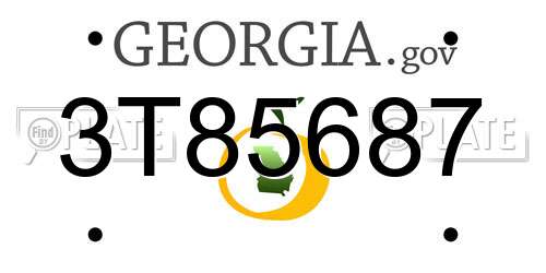 3T85687 Georgia License Plate