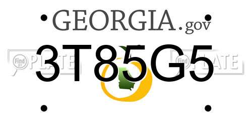 3T85G5 Georgia License Plate
