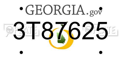 3T87625 Georgia License Plate